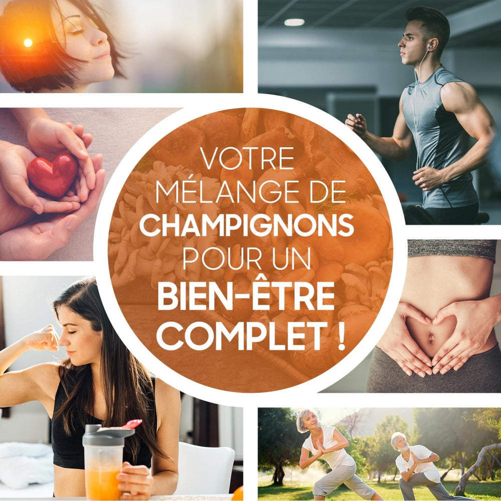 organic-mushroom-fr-04