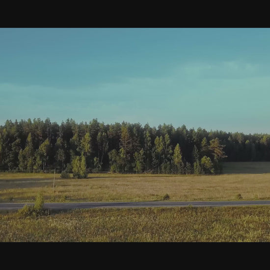 file_example_MP4_480_1_5MG.mp4