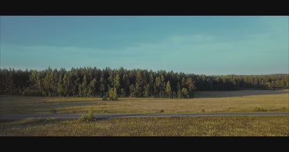 file_example_MP4_480_1_5MG.mp4