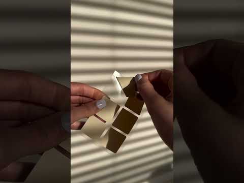 7L_UM5hnmQg?feature=shared