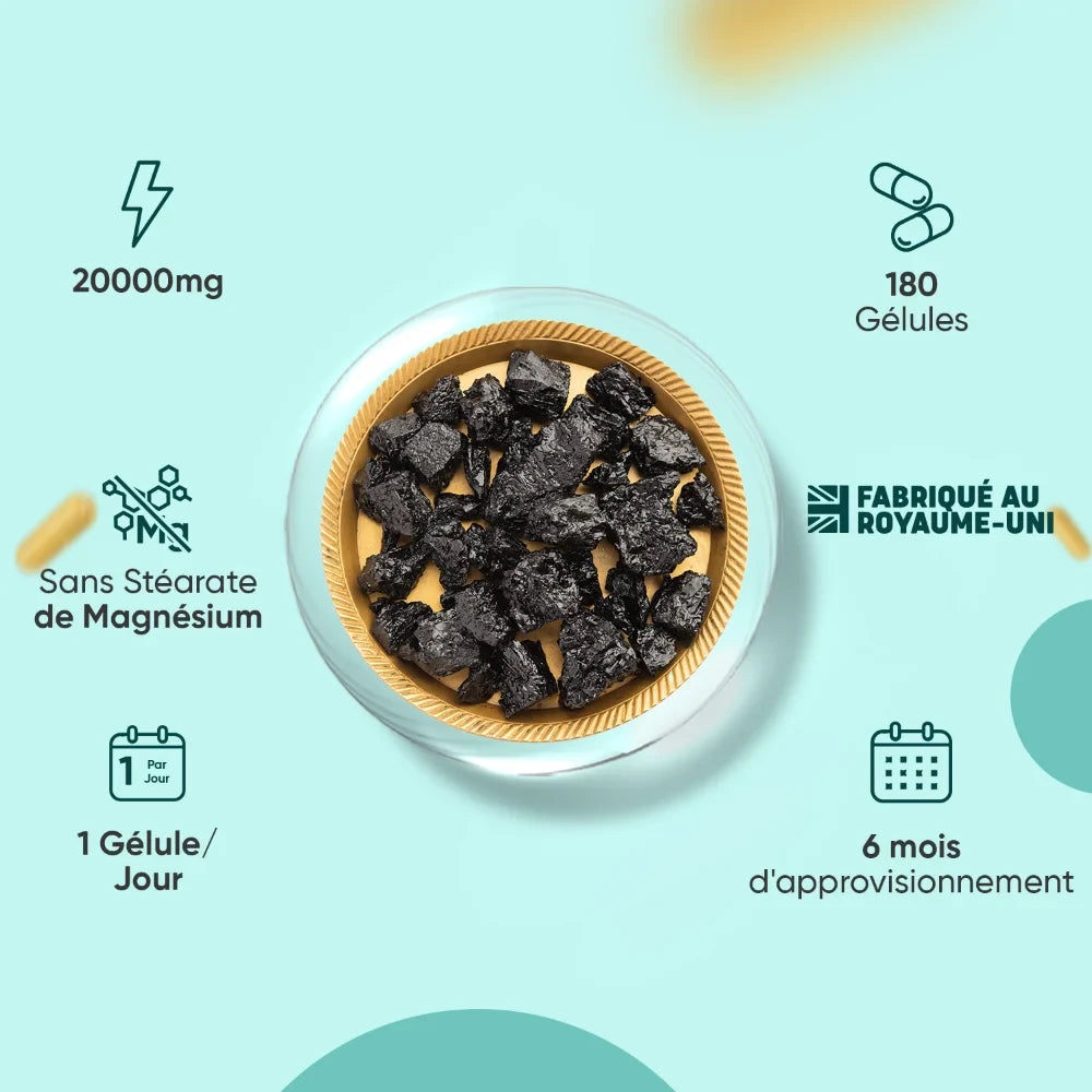 Bol de shilajit noir en morceaux, pour gélules WeightWorld Shilajit pur de l’Himalaya.