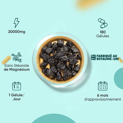 Bol de shilajit noir en morceaux, pour gélules WeightWorld Shilajit pur de l’Himalaya.