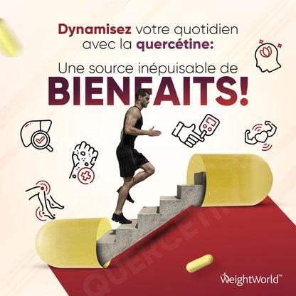 quercetine-pure-caps-fr-02
