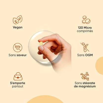 sunglow-120-tabs-fr-3