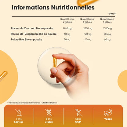 turmeric-with-black-pepper-and-ginger-180-caps-fr-back