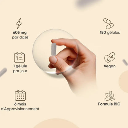 weightworld-fr-bottle-ashwagandha-products-03