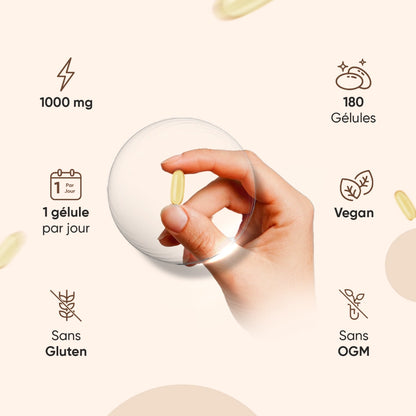 Gélule d’huile de lin Vegan oméga 3-6-9, tenue par une main