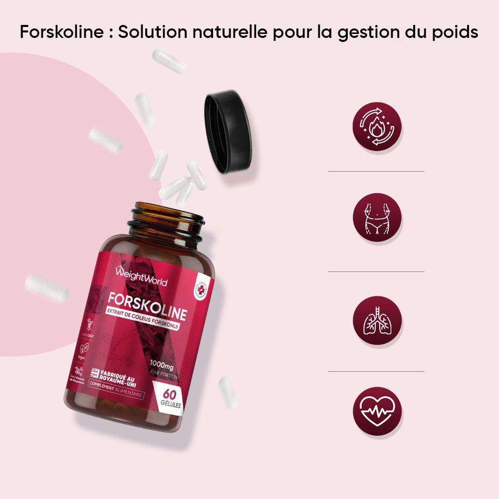 weightworld-fr-forskolin-1000-mg-02