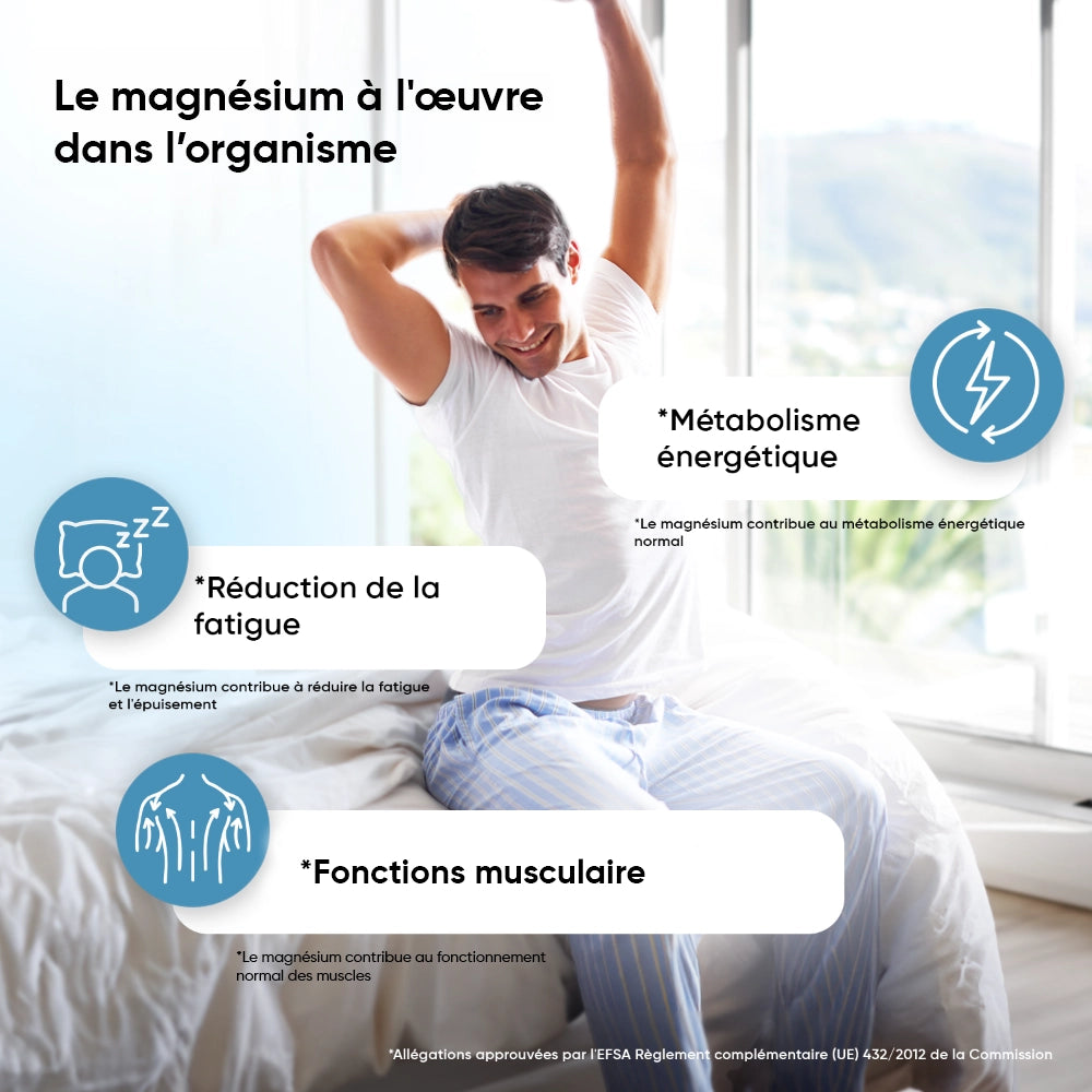 Infographie sur le magnésium dans l’organisme : fatigue et fonctions musculaires