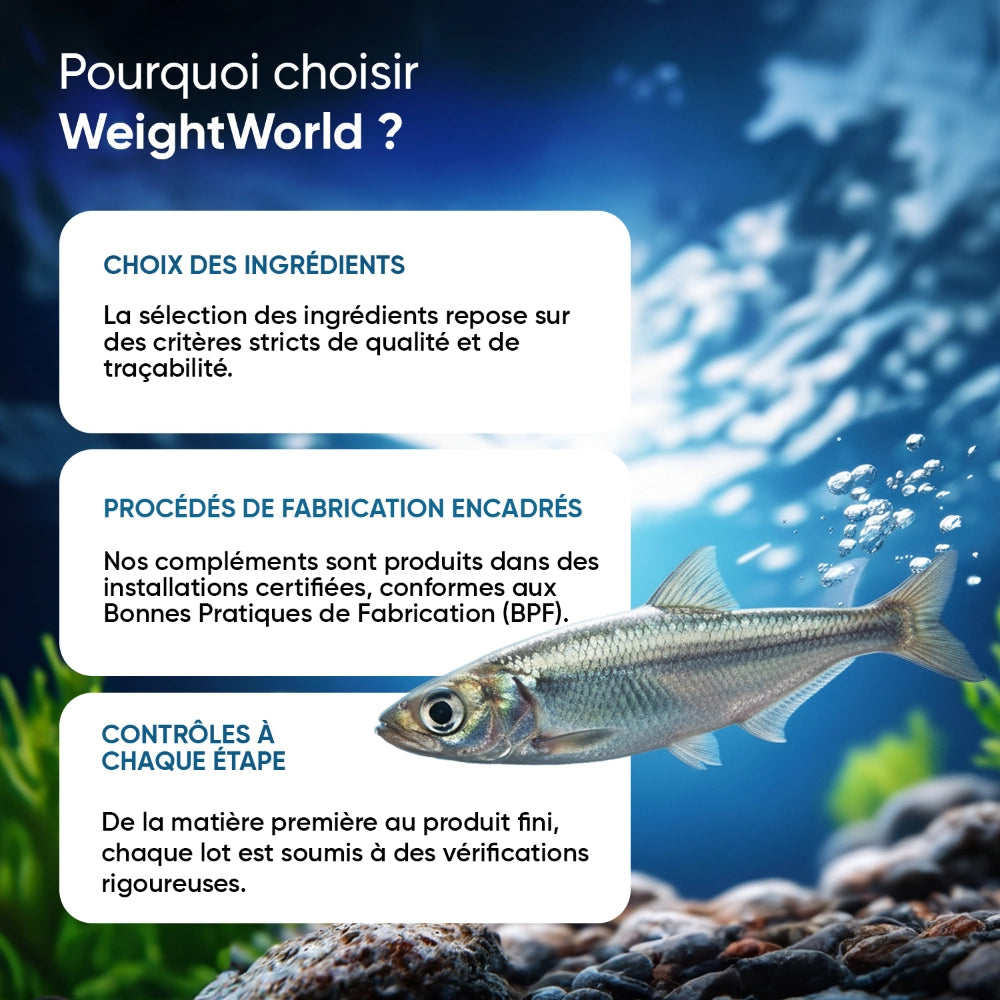 weightworld-fr-omega-3-caps-04