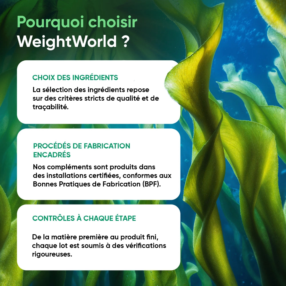 weightworld-fr-omega-3-vegan-capsules-bottle-04