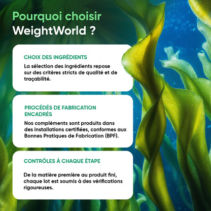 weightworld-fr-omega-3-vegan-capsules-bottle-04