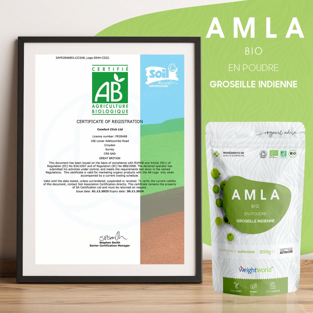 weightworld-fr-organic-amla-200gram-powder-04