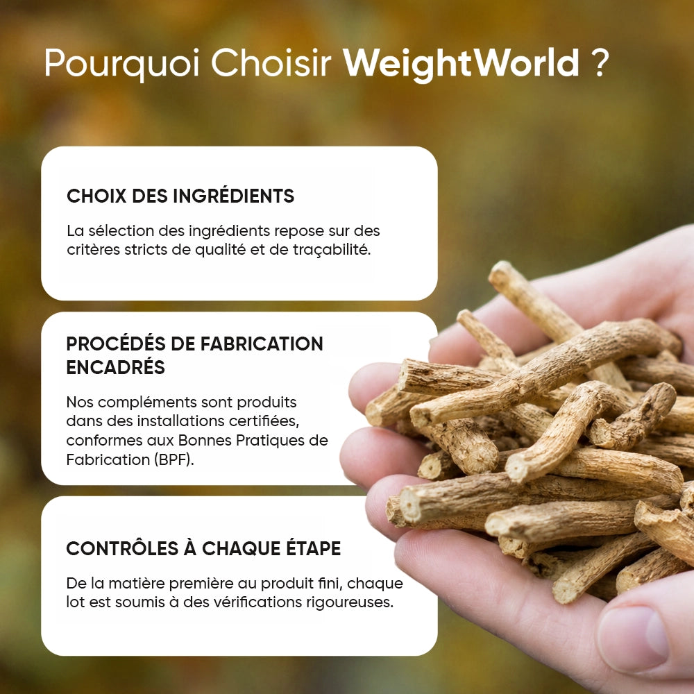 Complément Bio présenté avec racines d’ashwagandha dans une main