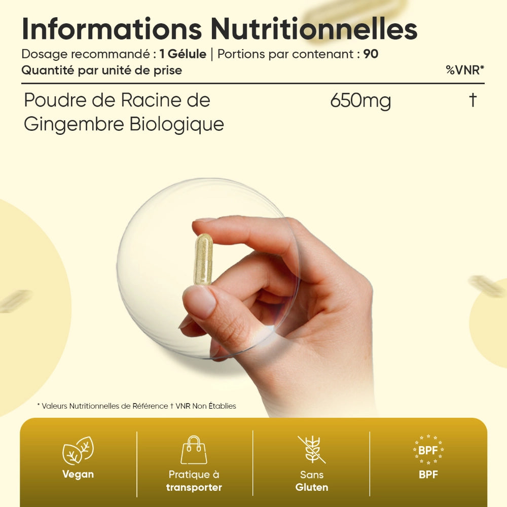 Gélules de gingembre bio, dose 650 mg, main tenant une gélule
