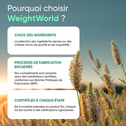 Complément WeightWorld au psyllium blond bio présenté sur fond clair