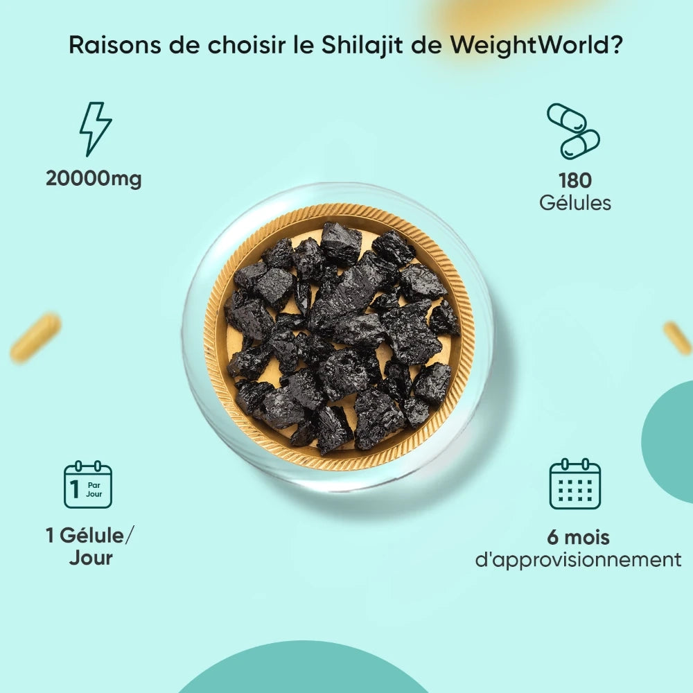 Shilajit Pur de l'Himalaya