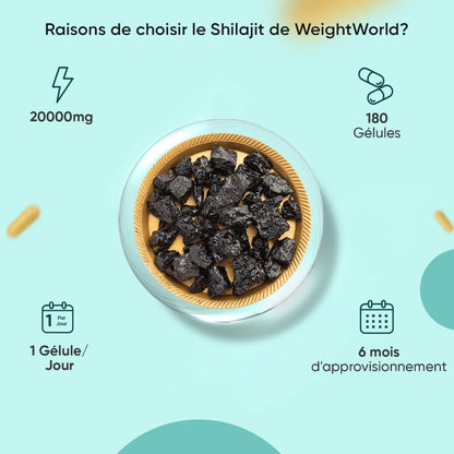 Shilajit Pur de l'Himalaya