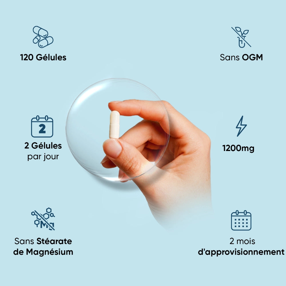 Gélules de collagène marin WeightWorld: 120 gélules, 2 par jour, 1200 mg