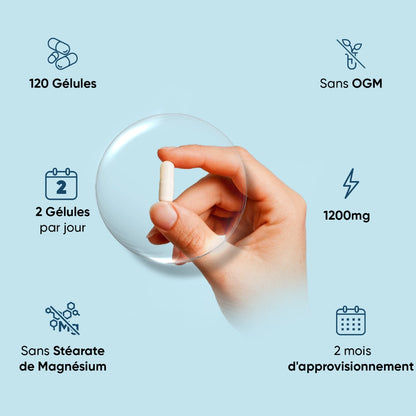 Gélules de collagène marin WeightWorld: 120 gélules, 2 par jour, 1200 mg