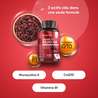 Flacon de gélules avec formule: Monacoline K, CoQ10 et vitamine B1