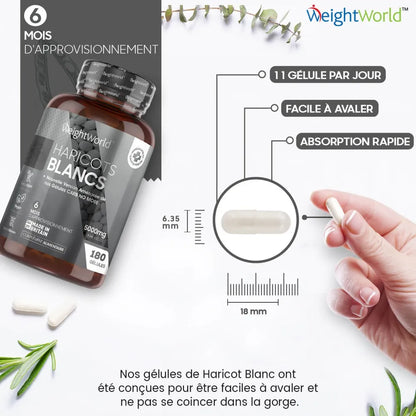 Doses de 5000 mg d’extrait d’haricots blancs en gélules faciles à avaler