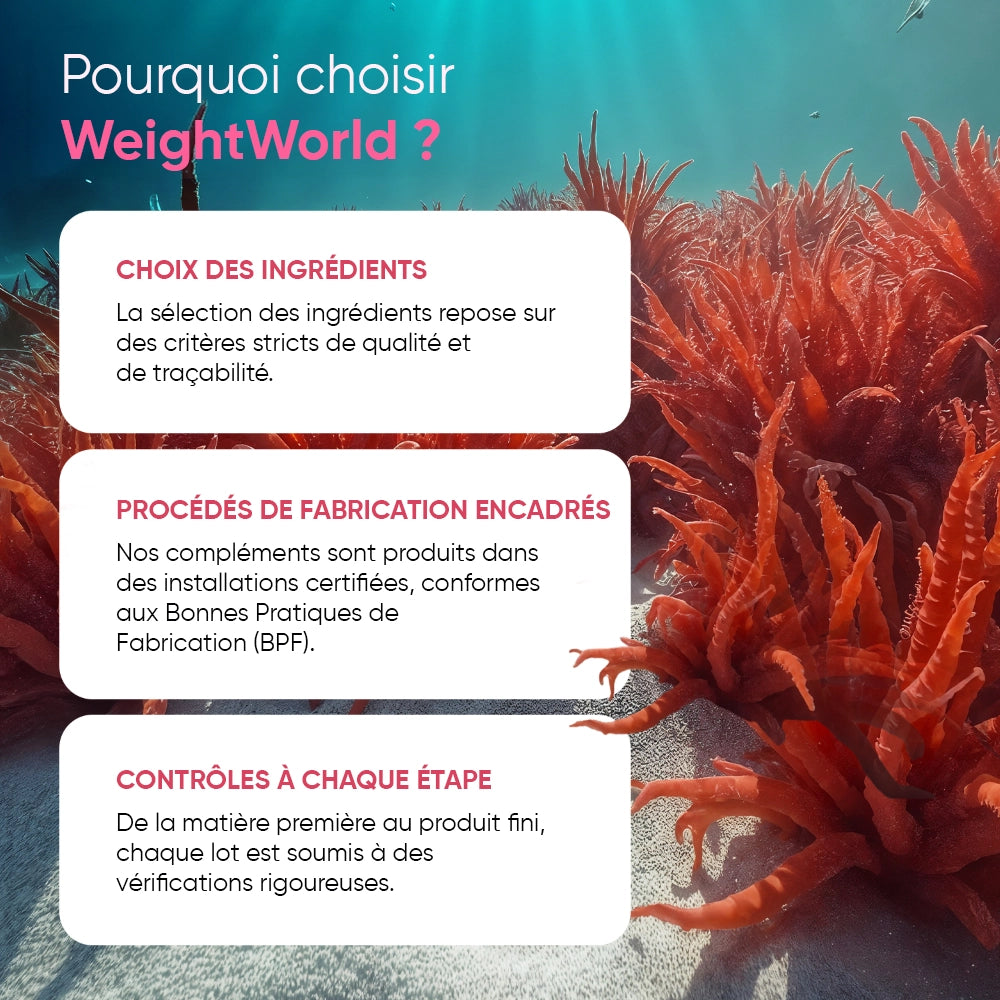 Infographie WeightWorld: choix des ingrédients, procédés encadrés, contrôles à chaque étape