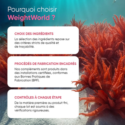 Infographie WeightWorld: choix des ingrédients, procédés encadrés, contrôles à chaque étape