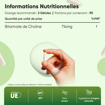 Tableau d’informations nutritionnelles du complément Choline Bitartrate