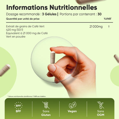 Flacon WeightWorld Café vert pur avec gélule beige dans une main et informations nutritionnelles