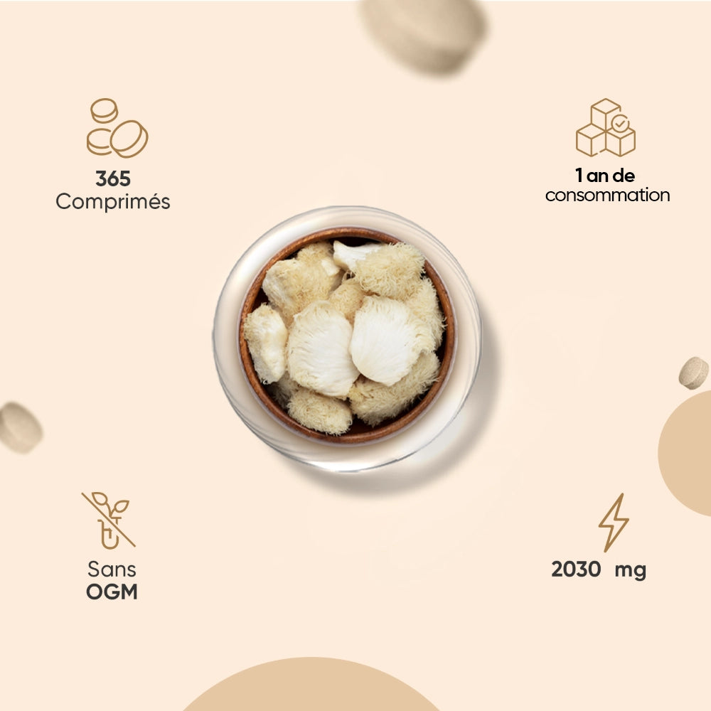 Bol de champignons crinière de lion, morceaux séchés