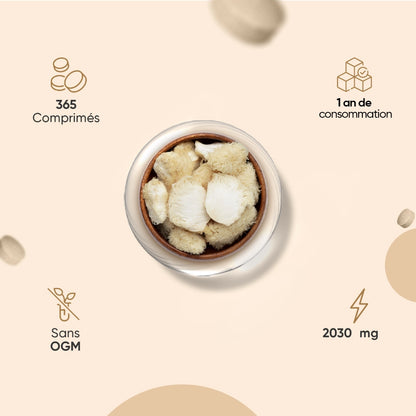 Bol de champignons crinière de lion, morceaux séchés