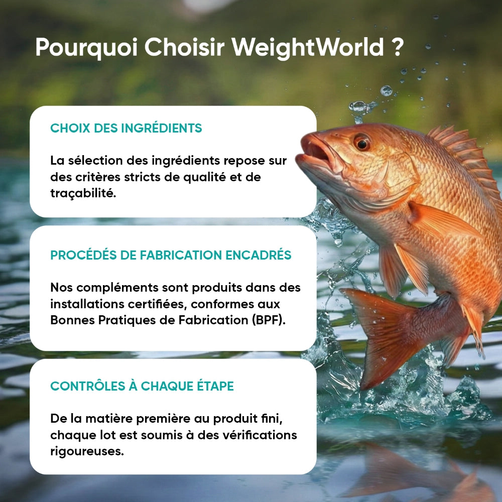 Infographie WeightWorld: choix des ingrédients, procédés de fabrication et contrôles.
