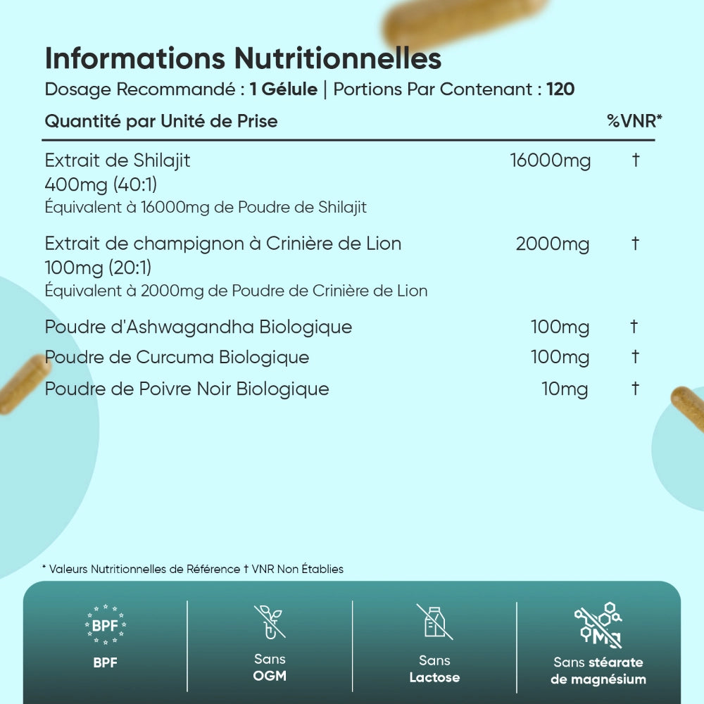 Complexe de Shilajit