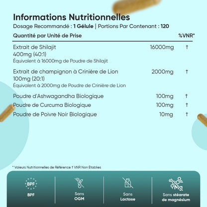 Complexe de Shilajit