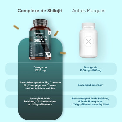 Complexe de Shilajit
