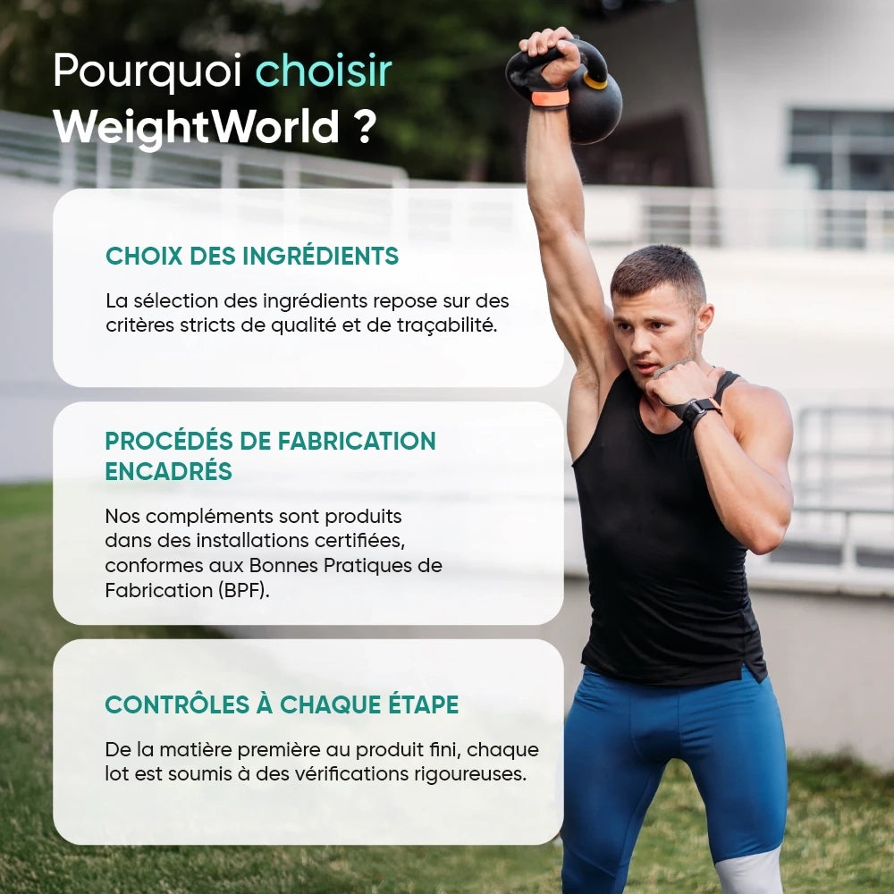 Créatine Monohydrate en poudre micronisée 100% pure